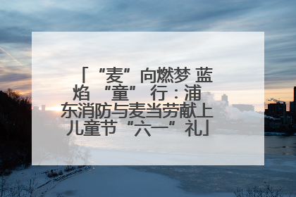 “麦”向燃梦 蓝焰 “童” 行：浦东消防与麦当劳献上儿童节“六一”礼