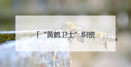 “黄鹤卫士”织密安全网 新就业群体筑牢社区防火墙