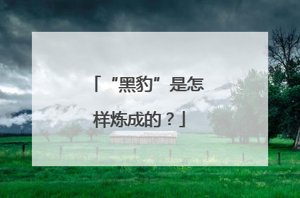 “黑豹”是怎样炼成的？