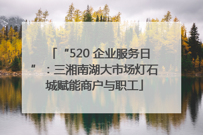 “520 企业服务日”：三湘南湖大市场灯石城赋能商户与职工