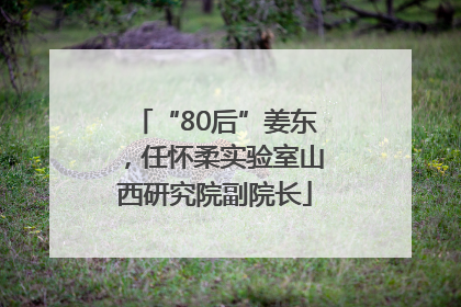 “80后”姜东，任怀柔实验室山西研究院副院长
