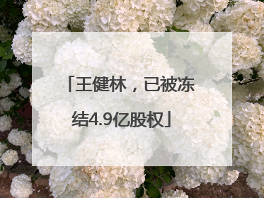 王健林，已被冻结4.9亿股权