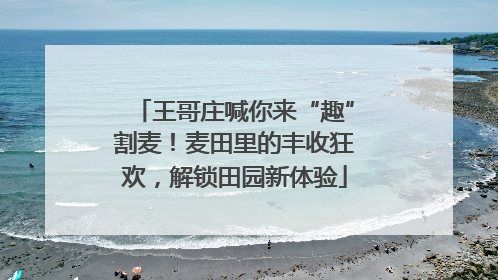 王哥庄喊你来“趣”割麦！麦田里的丰收狂欢，解锁田园新体验