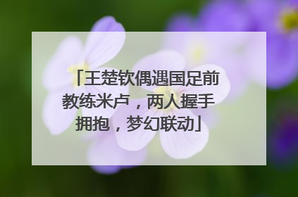 王楚钦偶遇国足前教练米卢，两人握手拥抱，梦幻联动