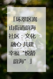 环翠区嵩山街道蔚海社区：文化融心 共建幸福“悦龄蔚海”