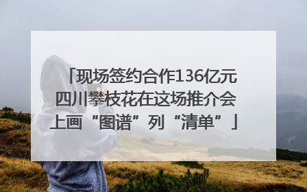 现场签约合作136亿元 四川攀枝花在这场推介会上画“图谱”列“清单”