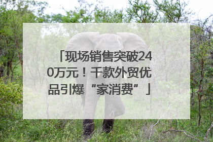 现场销售突破240万元！千款外贸优品引爆“家消费”