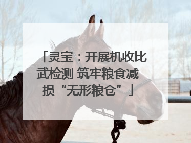灵宝：开展机收比武检测 筑牢粮食减损“无形粮仓”