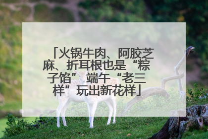 火锅牛肉、阿胶芝麻、折耳根也是“粽子馅” 端午“老三样”玩出新花样