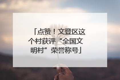 点赞！文登区这个村获评“全国文明村”荣誉称号