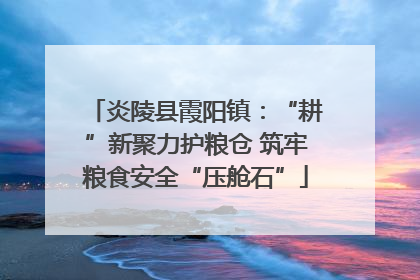炎陵县霞阳镇：“耕”新聚力护粮仓 筑牢粮食安全“压舱石”
