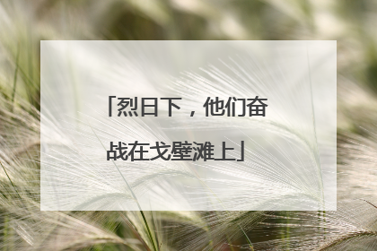 烈日下，他们奋战在戈壁滩上