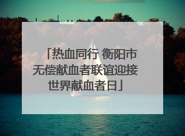 热血同行 衡阳市无偿献血者联谊迎接世界献血者日