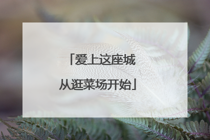 爱上这座城 从逛菜场开始