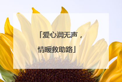 爱心润无声，情暖救助路