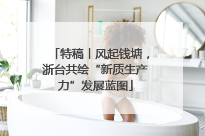 特稿丨风起钱塘，浙台共绘“新质生产力”发展蓝图
