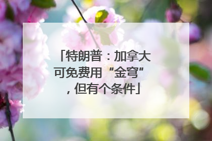 特朗普：加拿大可免费用“金穹”，但有个条件