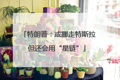 特朗普：或挪走特斯拉 但还会用“星链”