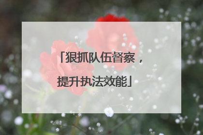 狠抓队伍督察，提升执法效能