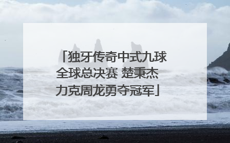 独牙传奇中式九球全球总决赛 楚秉杰力克周龙勇夺冠军