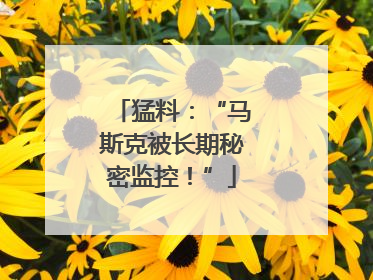 猛料：“马斯克被长期秘密监控！”