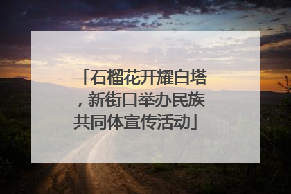 石榴花开耀白塔，新街口举办民族共同体宣传活动