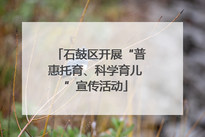 石鼓区开展“普惠托育、科学育儿”宣传活动