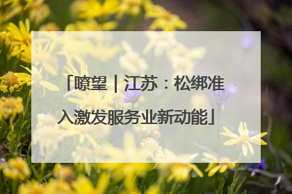 瞭望｜江苏：松绑准入激发服务业新动能