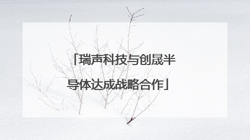 瑞声科技与创晟半导体达成战略合作