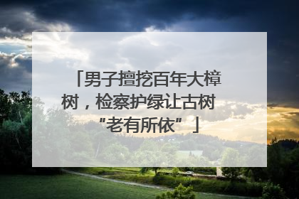 男子擅挖百年大樟树，检察护绿让古树“老有所依”