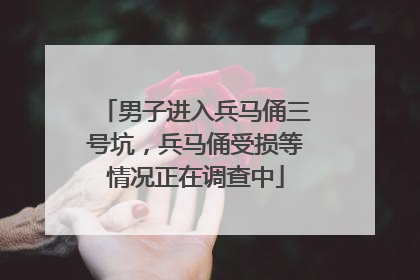 男子进入兵马俑三号坑，兵马俑受损等情况正在调查中