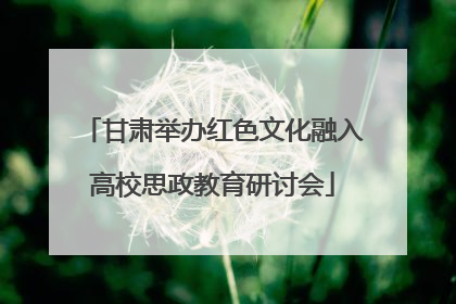 甘肃举办红色文化融入高校思政教育研讨会