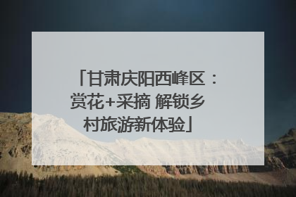甘肃庆阳西峰区：赏花+采摘 解锁乡村旅游新体验