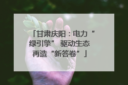 甘肃庆阳：电力“绿引擎” 驱动生态再造“新答卷”