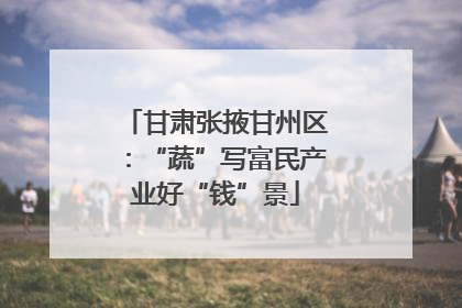 甘肃张掖甘州区：“蔬”写富民产业好“钱”景