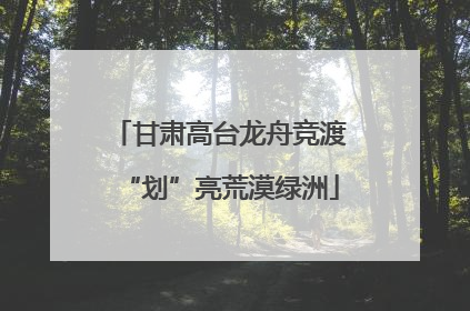 甘肃高台龙舟竞渡“划”亮荒漠绿洲