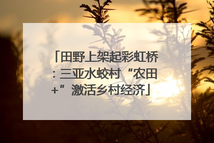 田野上架起彩虹桥：三亚水蛟村“农田+”激活乡村经济