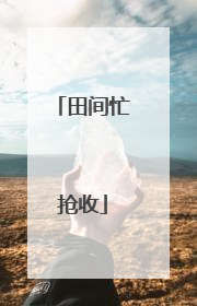田间忙抢收