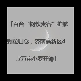 百台“钢铁麦客”护航颗粒归仓，济南高新区4.7万亩小麦开镰