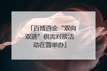 百博百企“双向双进”供需对接活动在蓉举办