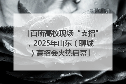 百所高校现场“支招”，2025年山东（聊城）高招会火热启幕