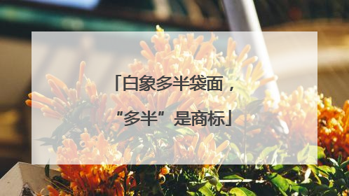 白象多半袋面，“多半”是商标