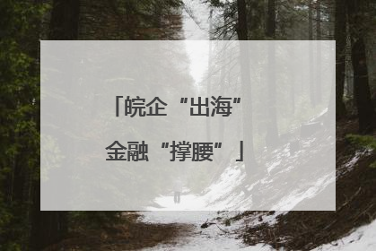 皖企“出海” 金融“撑腰”