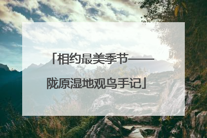 相约最美季节——陇原湿地观鸟手记