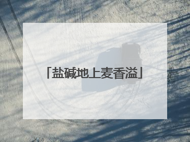 盐碱地上麦香溢