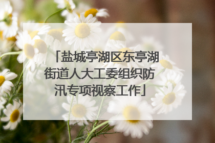 盐城亭湖区东亭湖街道人大工委组织防汛专项视察工作