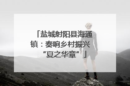 盐城射阳县海通镇：奏响乡村振兴“夏之华章”