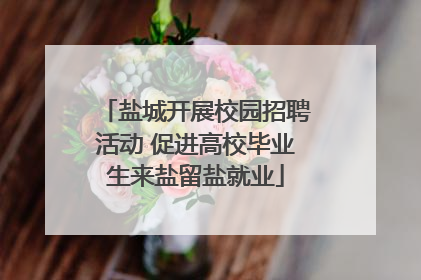 盐城开展校园招聘活动 促进高校毕业生来盐留盐就业
