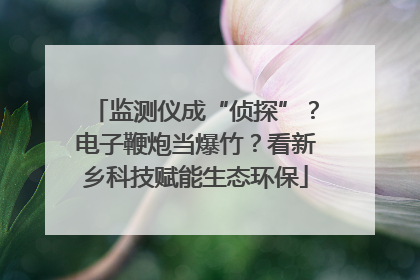 监测仪成“侦探”？电子鞭炮当爆竹？看新乡科技赋能生态环保
