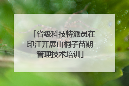 省级科技特派员在印江开展山桐子苗期管理技术培训
